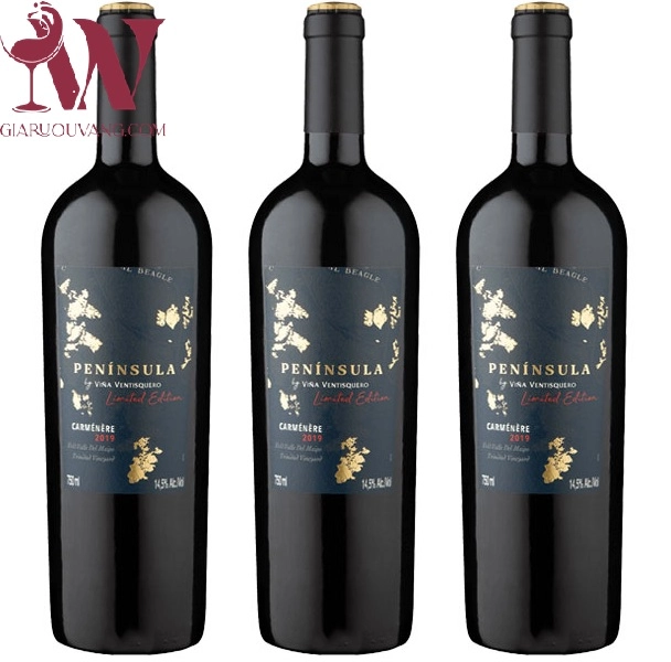 VANG CHILE VENTISQUERO PENINSULA LIMITED EDITION CARMENERE